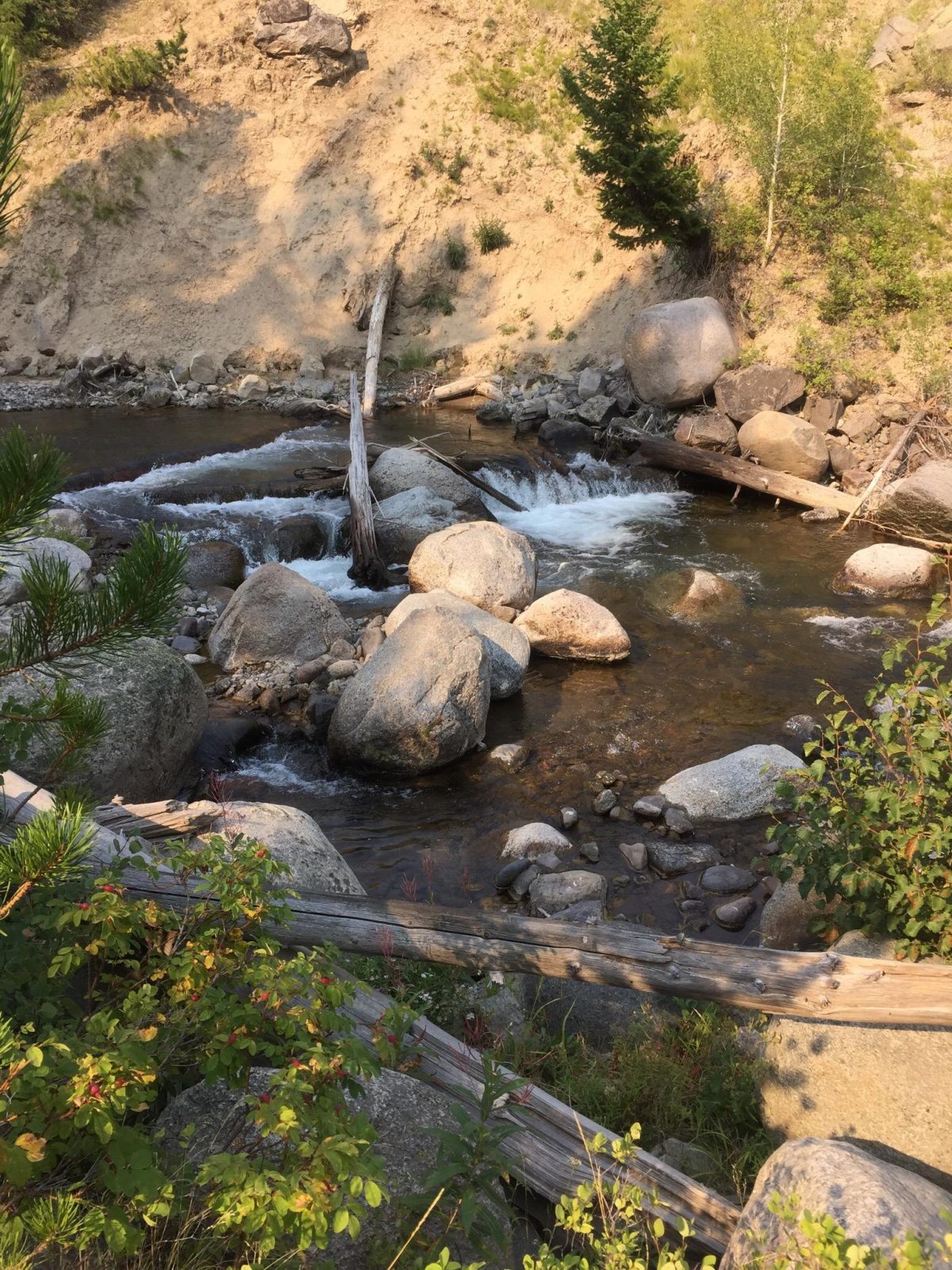 Tower Fall Campground