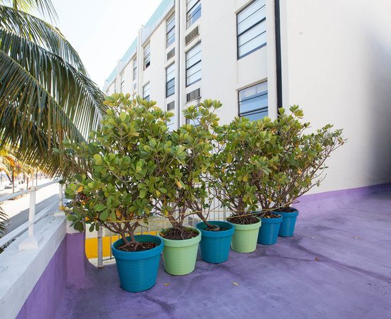 Royal South Beach Hotel