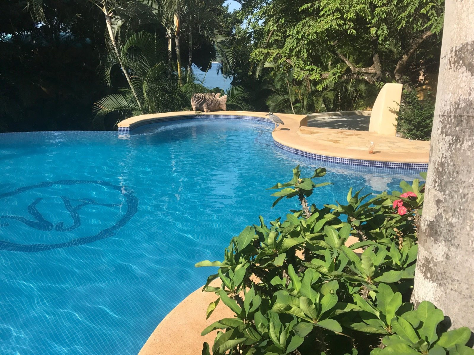 villa amor hotel sayulita
