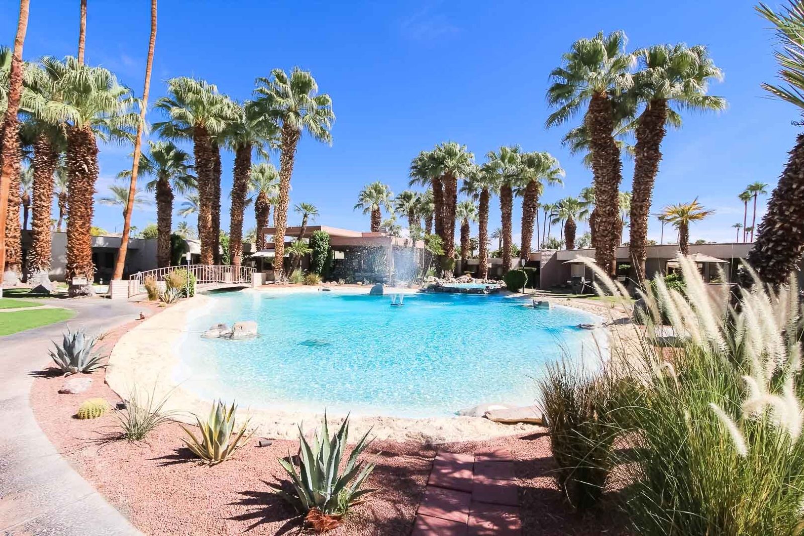 Desert Isle of Palm Springs