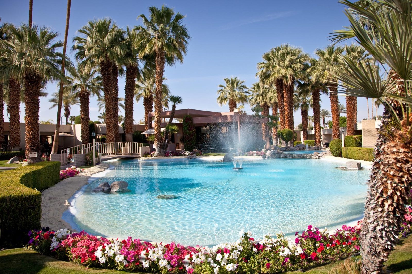 Desert Isle of Palm Springs