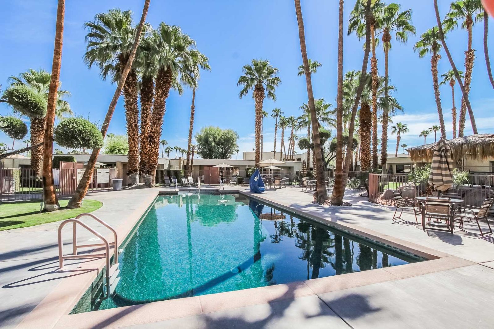 Desert Isle of Palm Springs