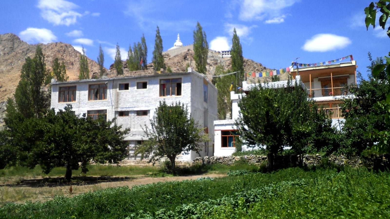 Goba Heritage Leh
