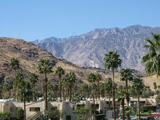 plaza resort palm springs