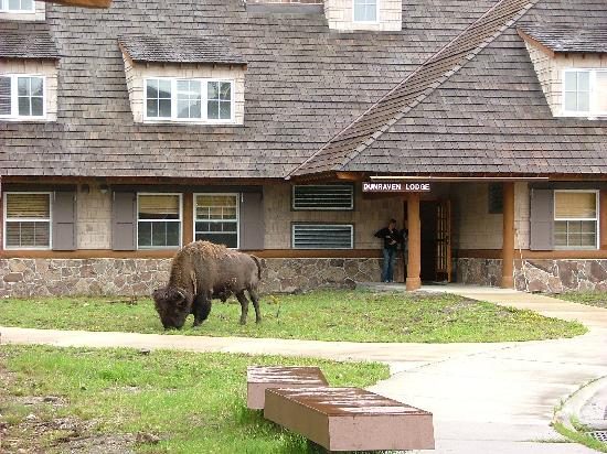 dunraven hotel yellowstone national park