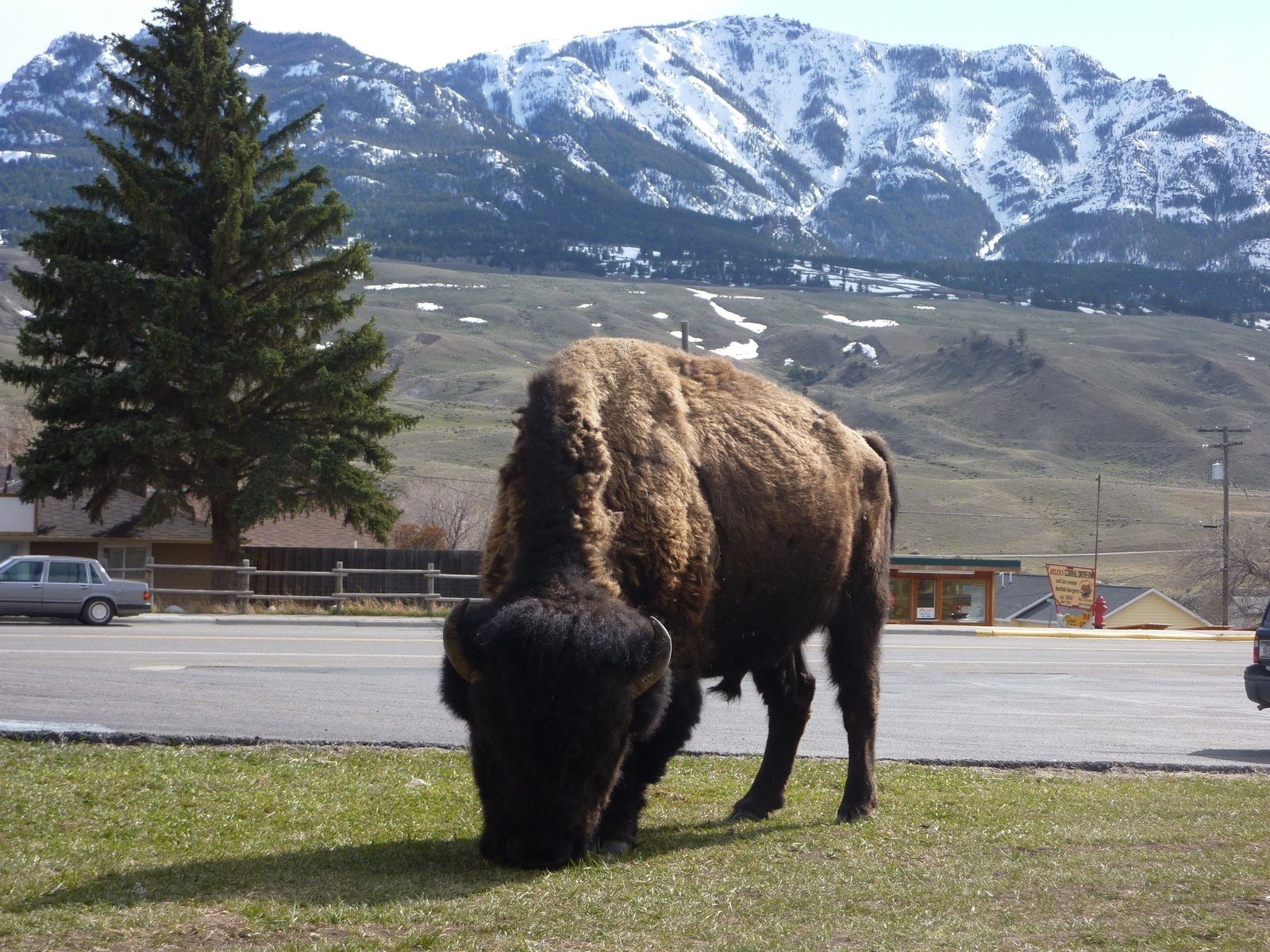 Yellowstone Gateway Inn