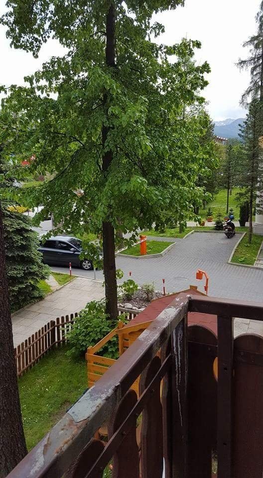 Dafne Zakopane