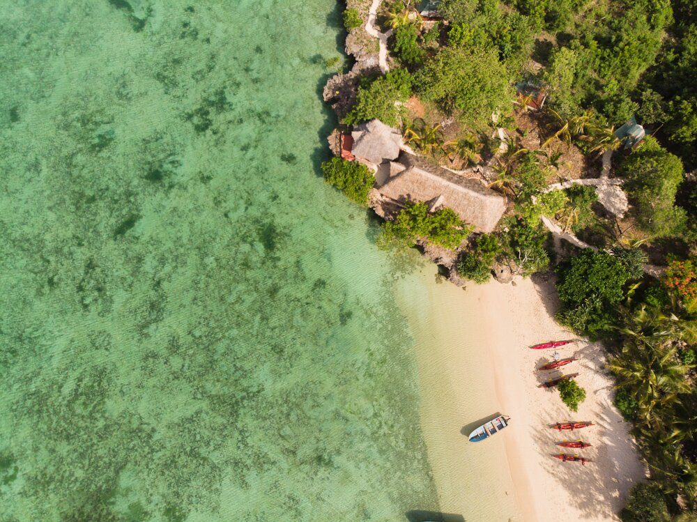 Wild Zanzibar