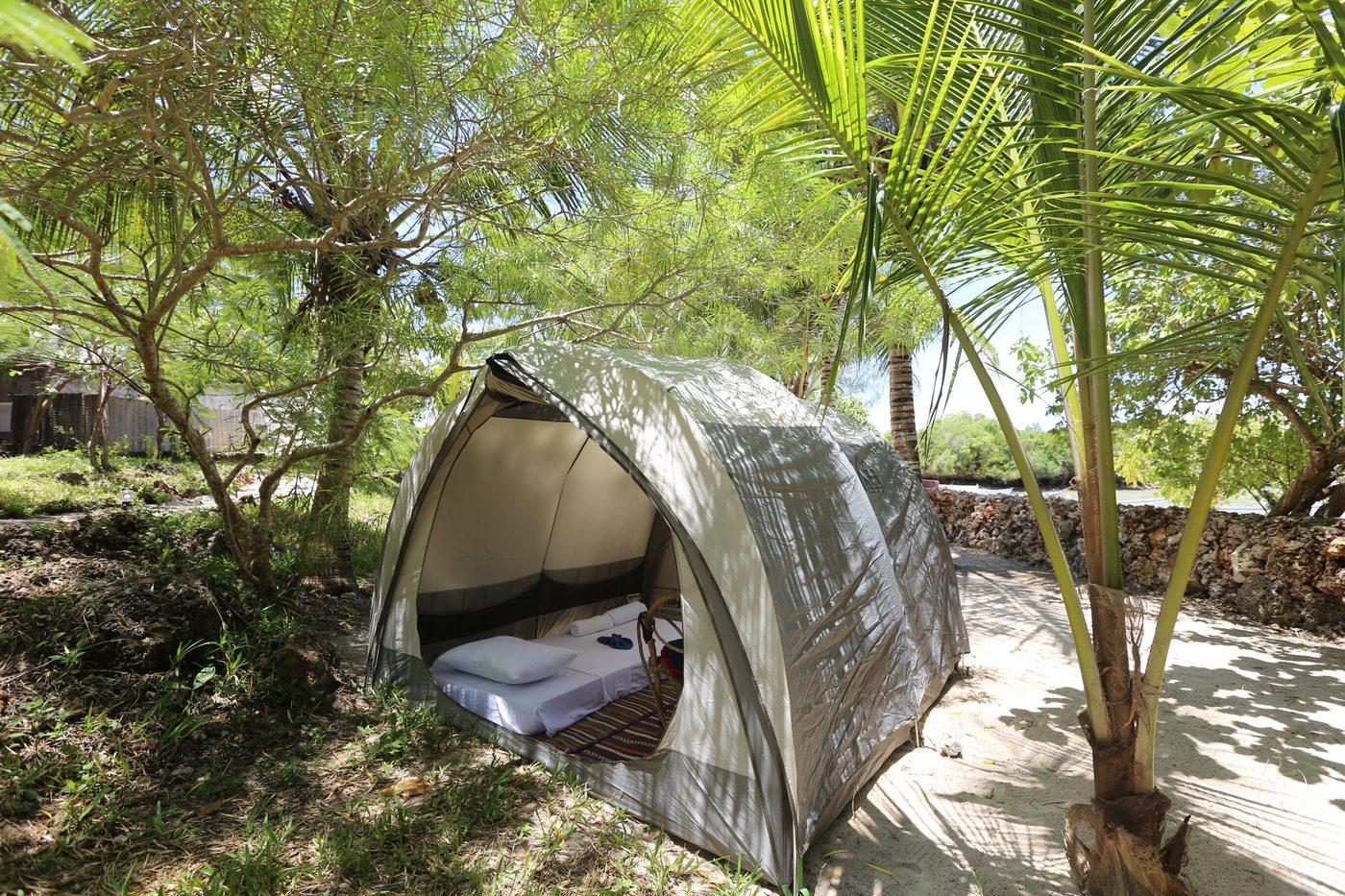 Wild Zanzibar