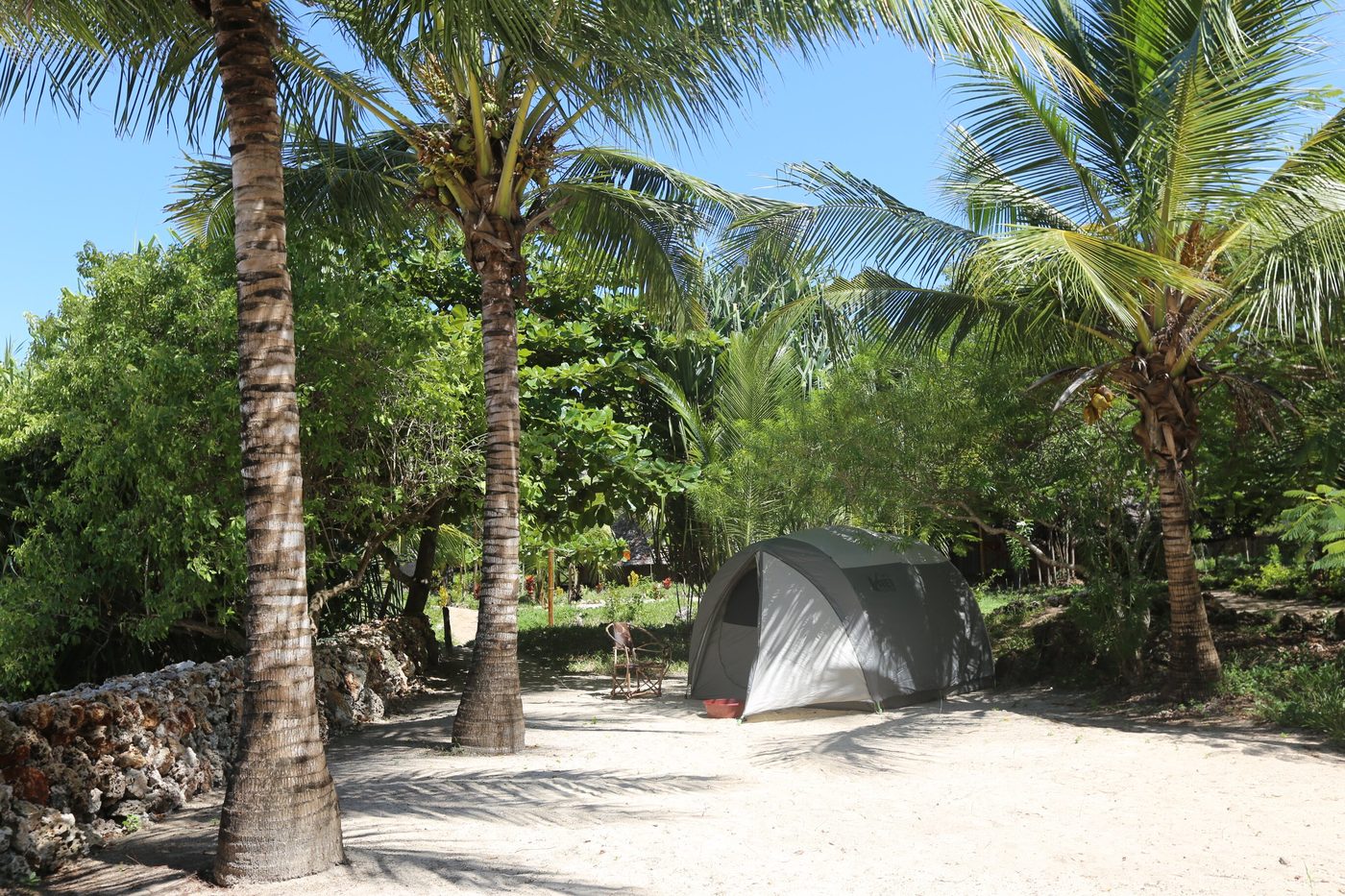 Wild Zanzibar