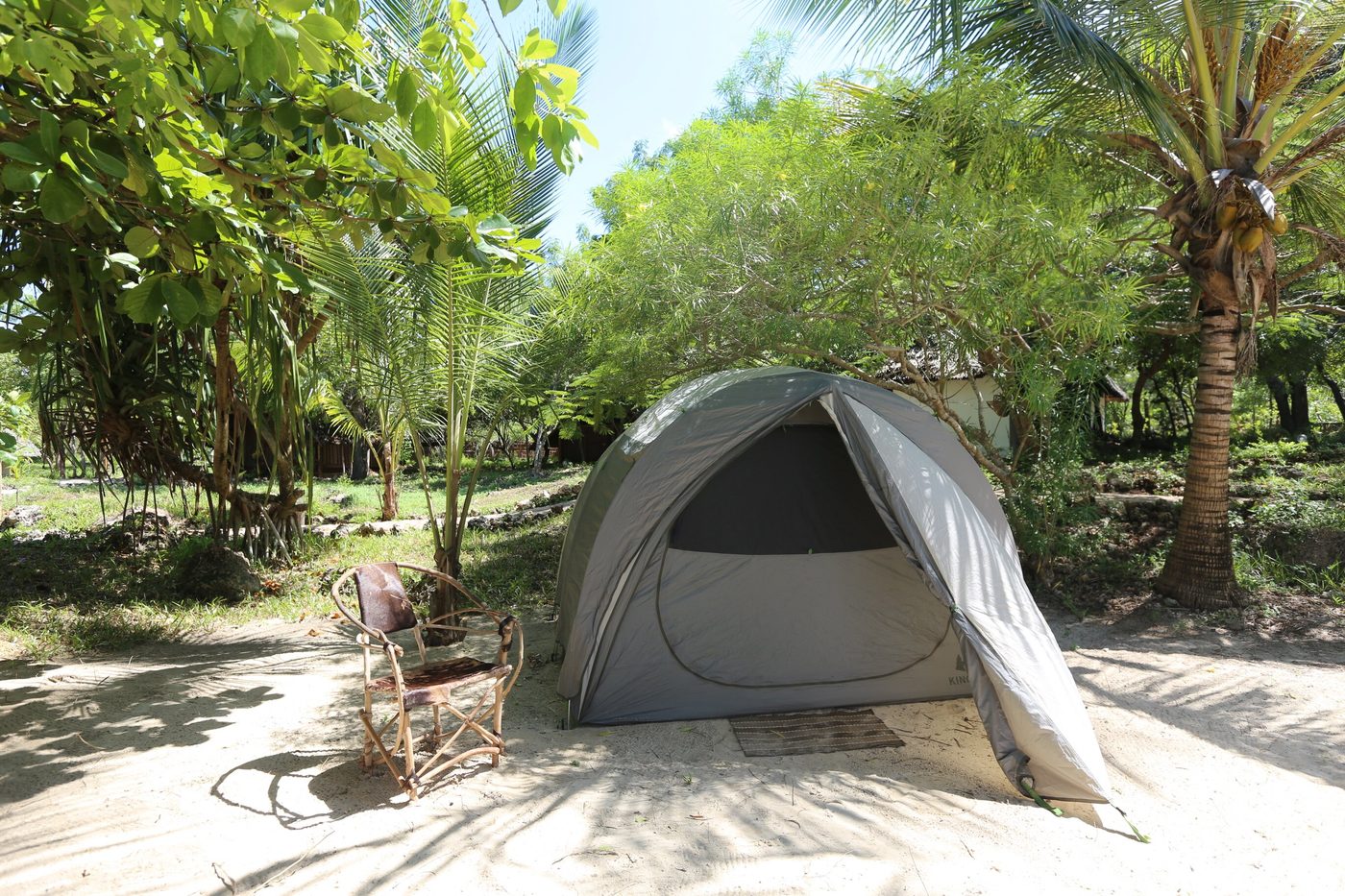 Wild Zanzibar