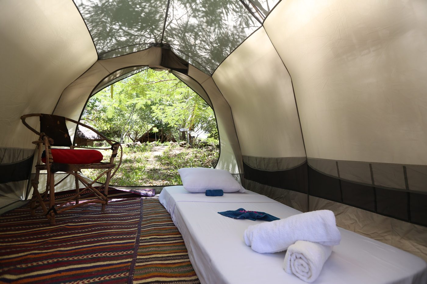 Wild Zanzibar