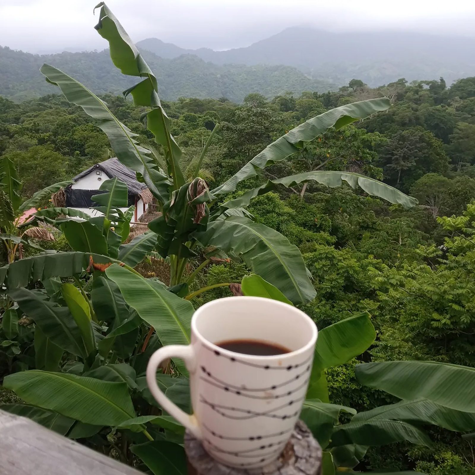 Mirador Del Parque Tayrona Hostel