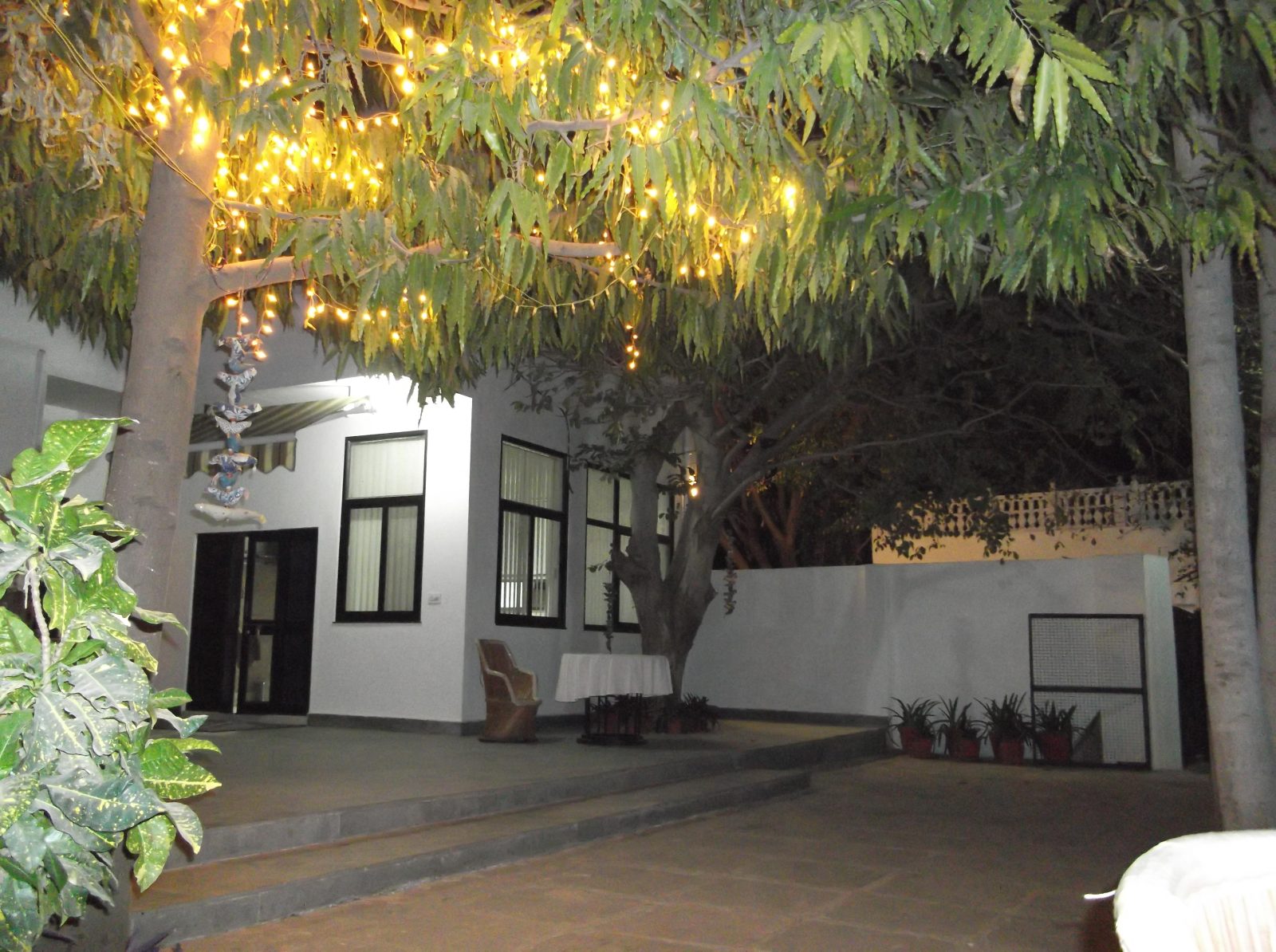 9 Trees, Jaipur