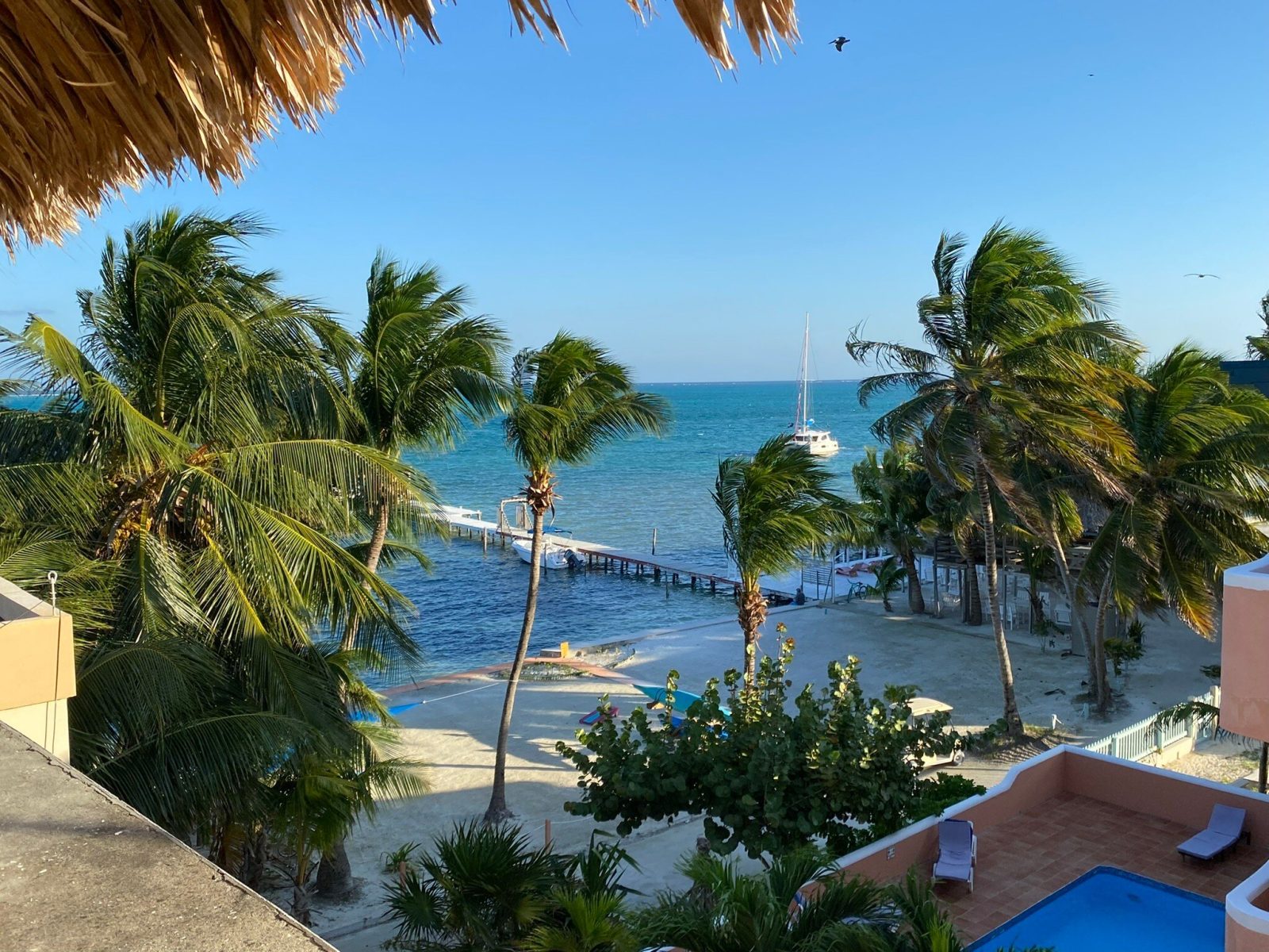 Coconut Beach Caye Caulker