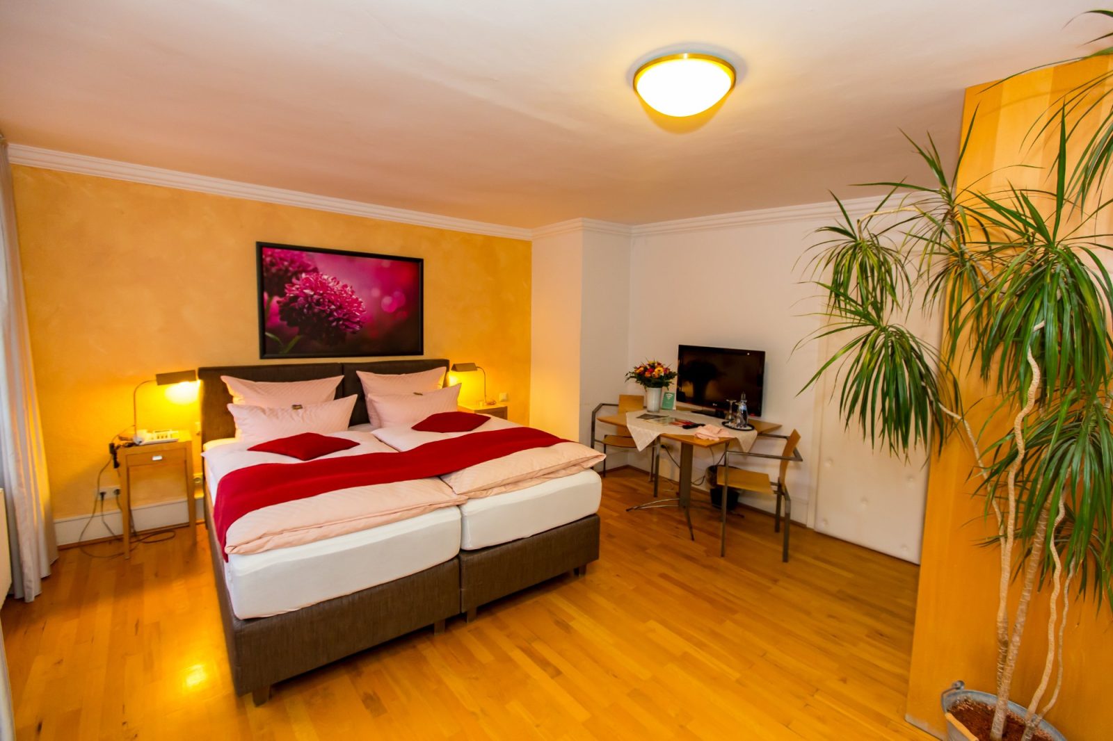 Hotel Goldener Falke