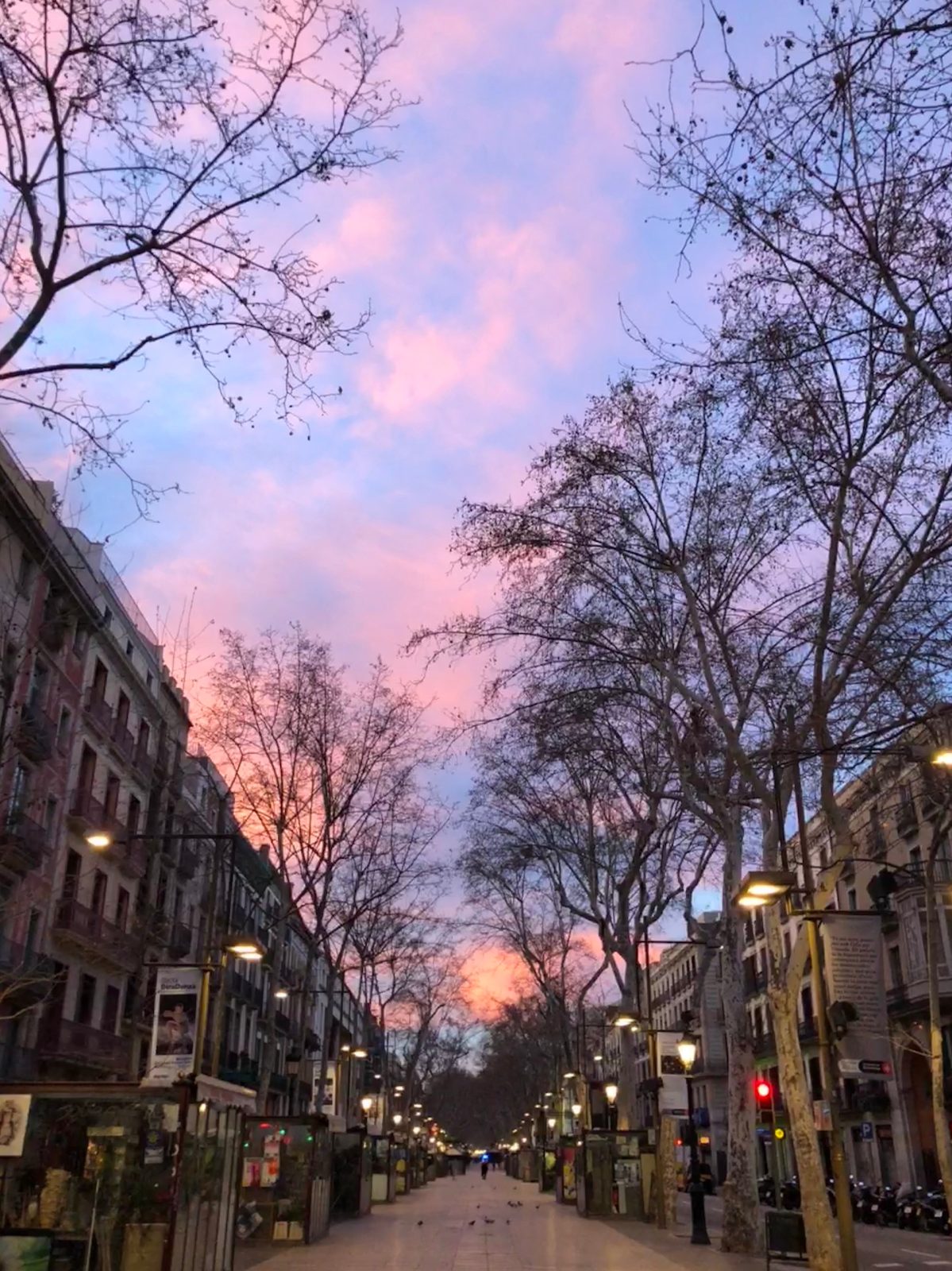 cuatro naciones barcelona