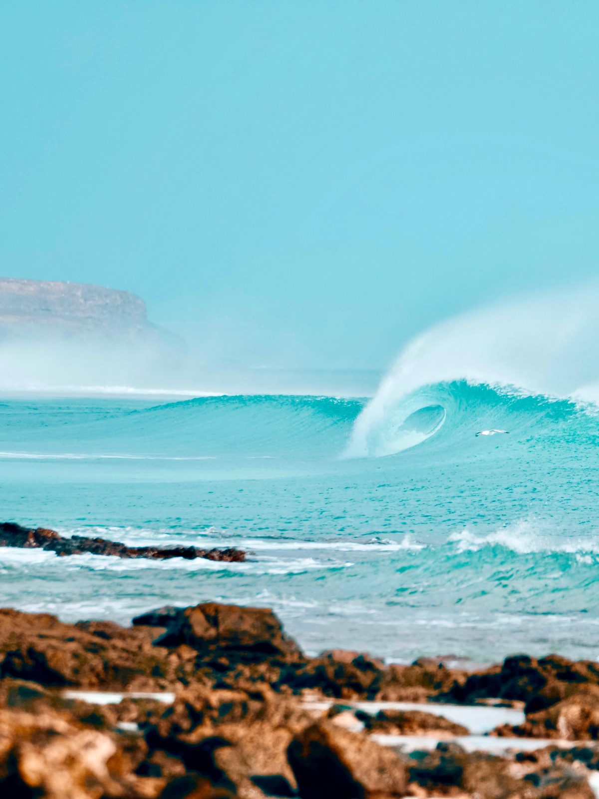 Lapoint Surf Camps Fuerteventura
