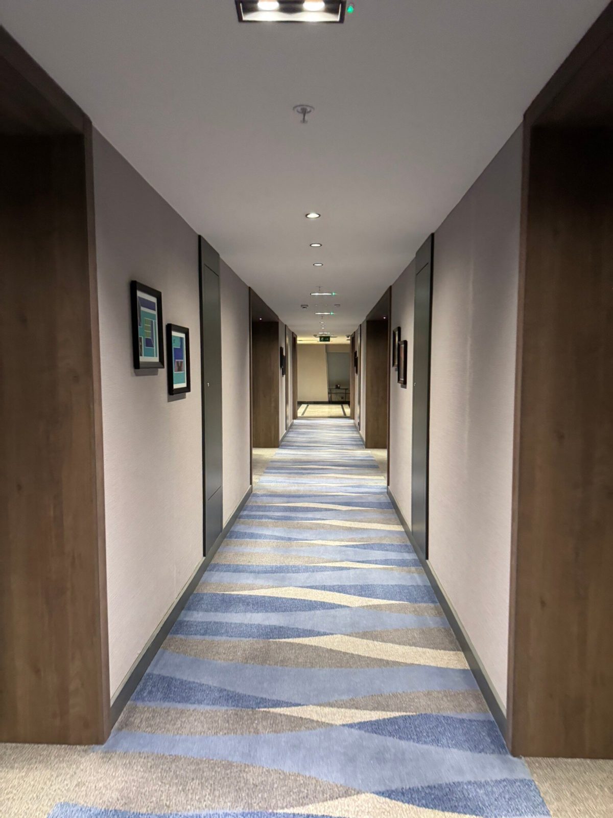 Crowne Plaza Ankara an IHG Hotel