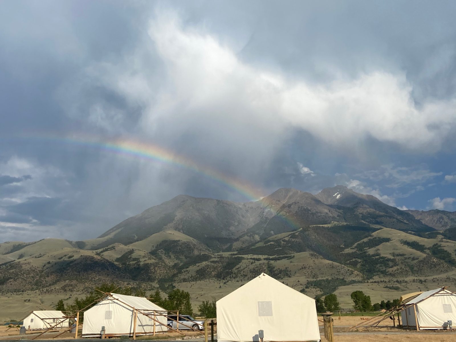 Yellowstone Dreamin Camp