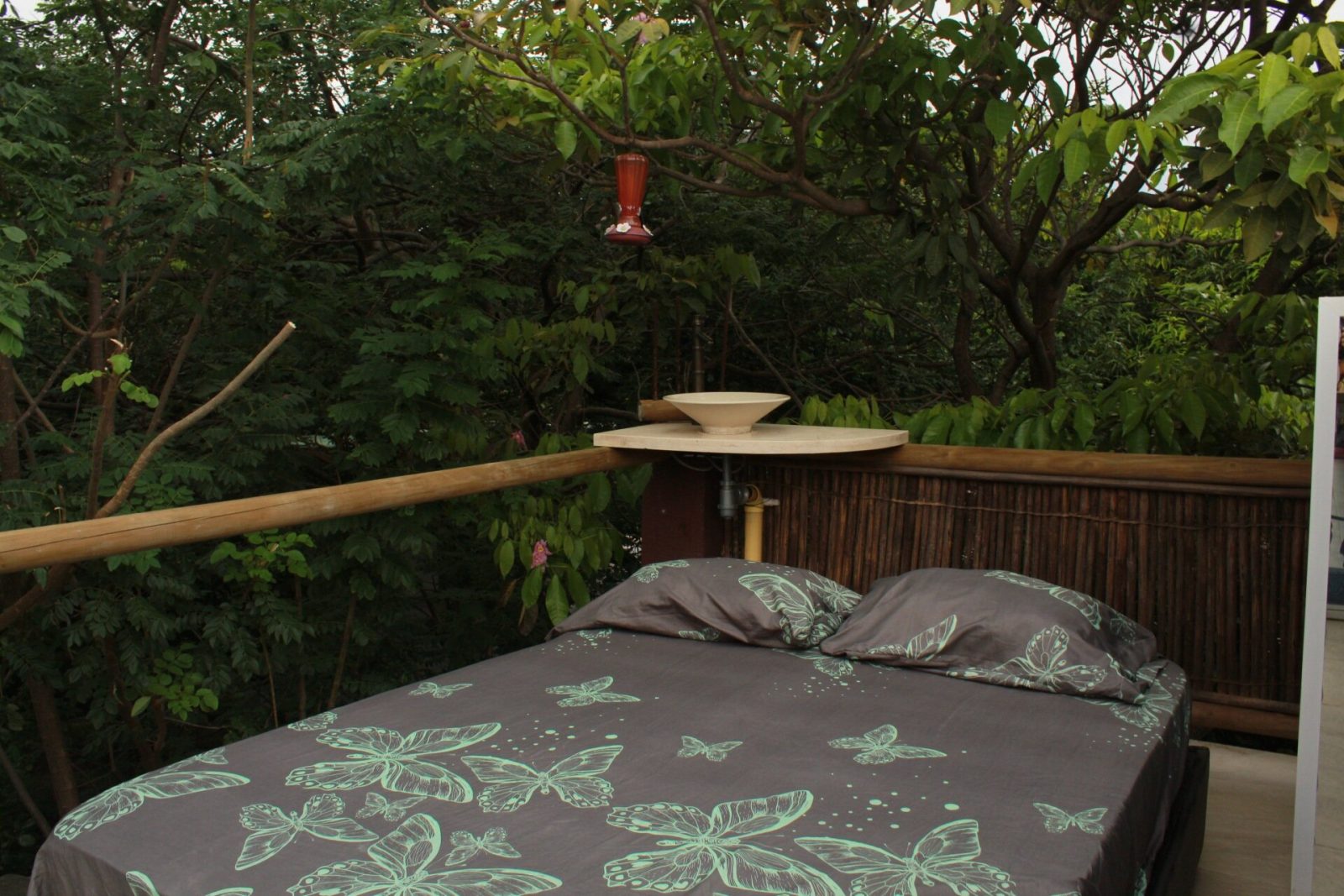 Bio Coliving Tayrona