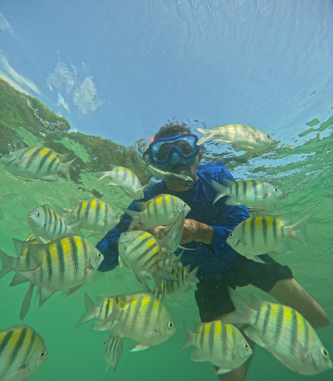 Bio Coliving Tayrona