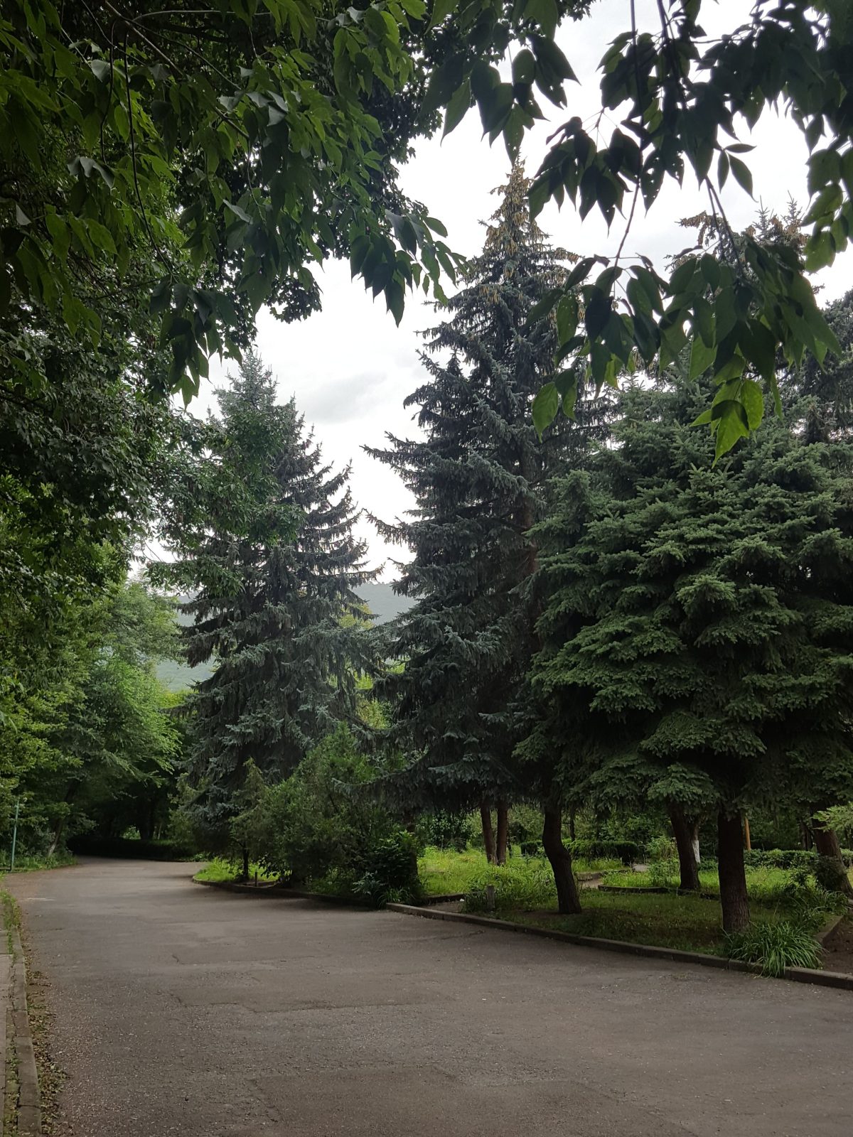 Vanadzor Armeniya Health Resort