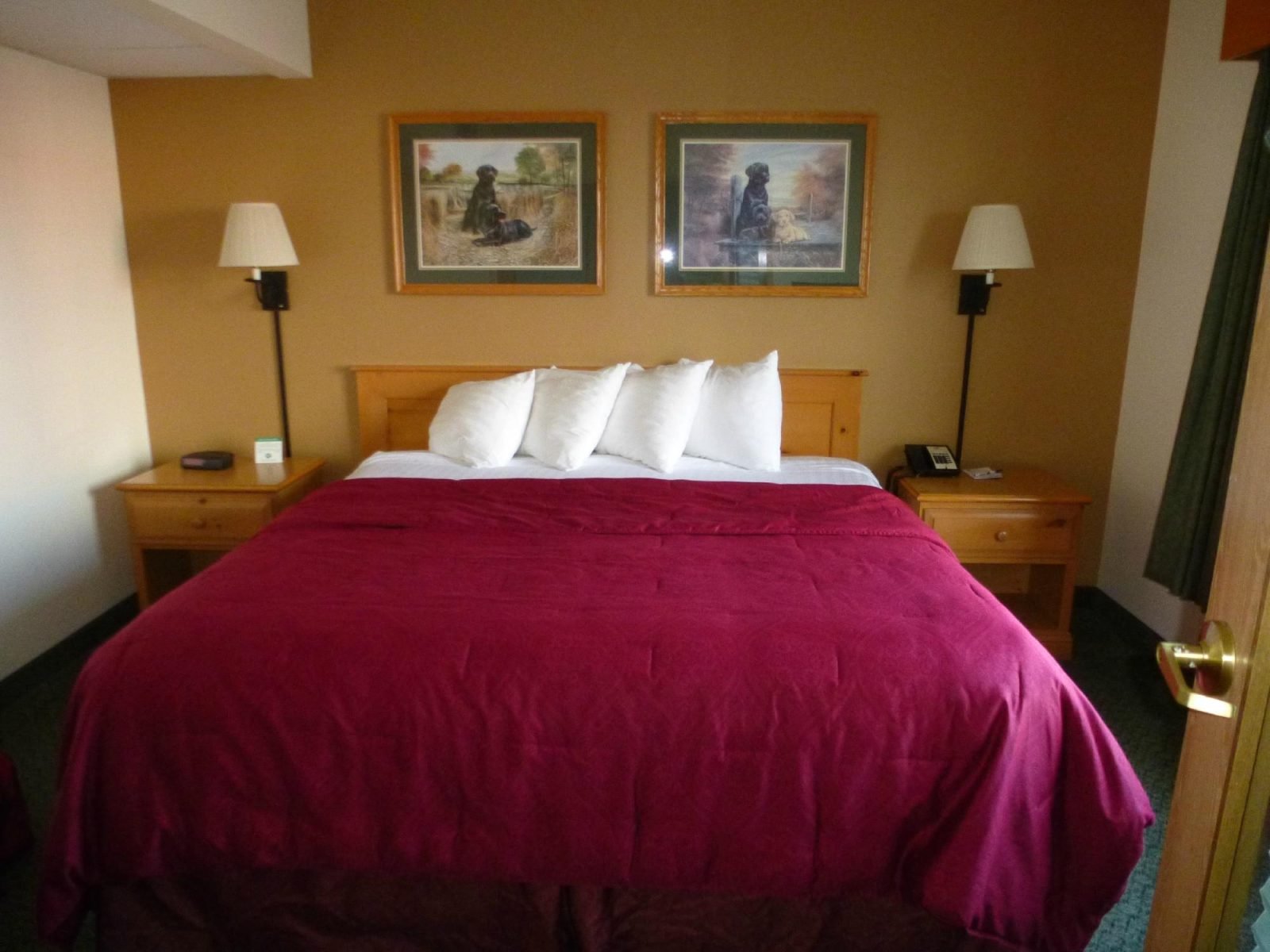 best western hotel laurel