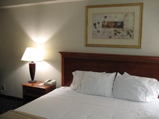 holiday inn express apex/raleigh hotel apex