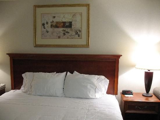 holiday inn express apex/raleigh hotel apex