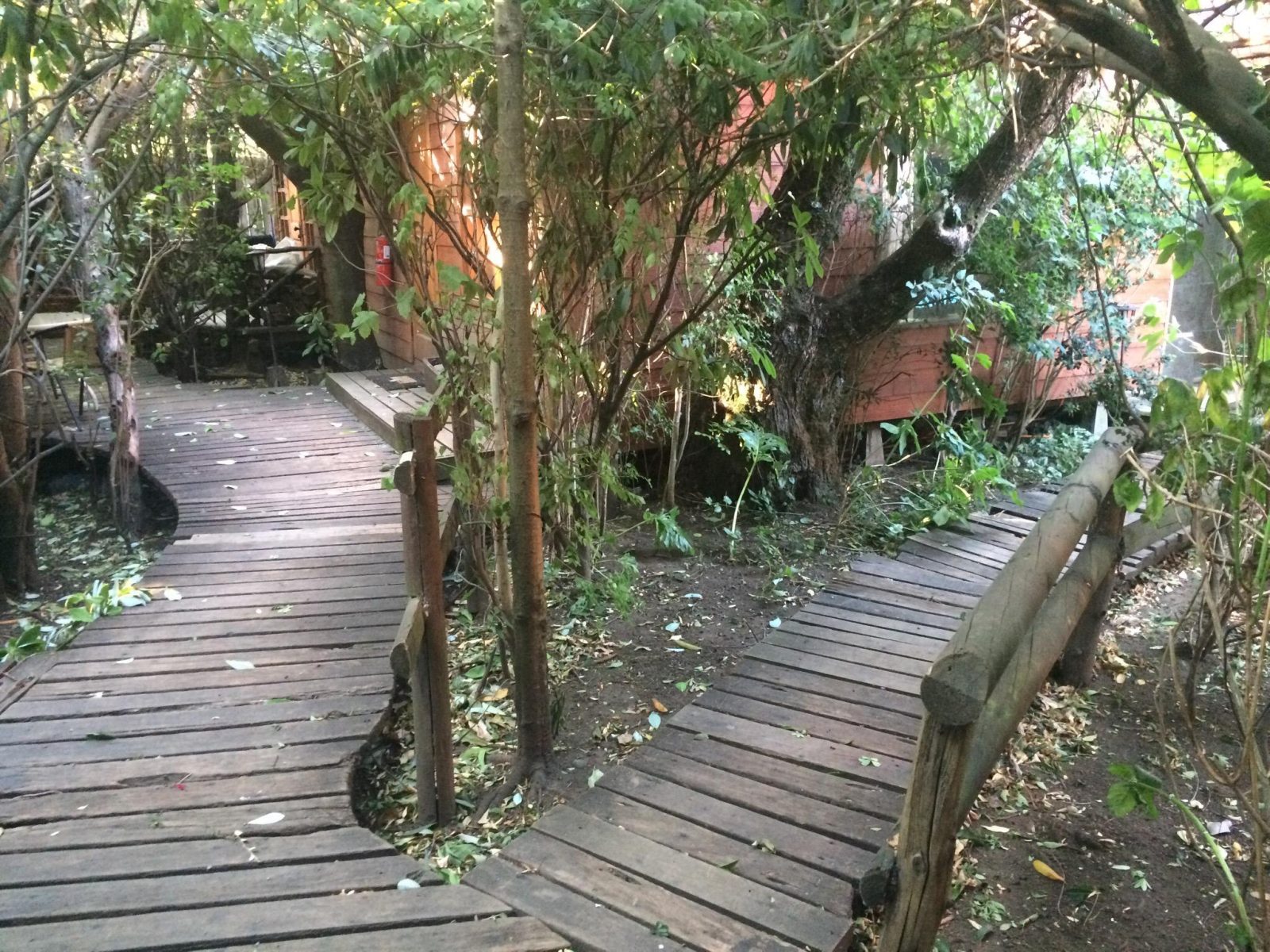 Cabanas Rucamalal Pucon