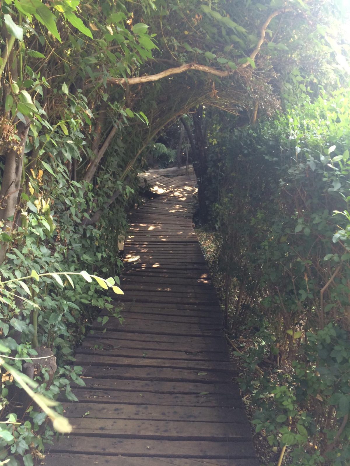 Cabanas Rucamalal Pucon