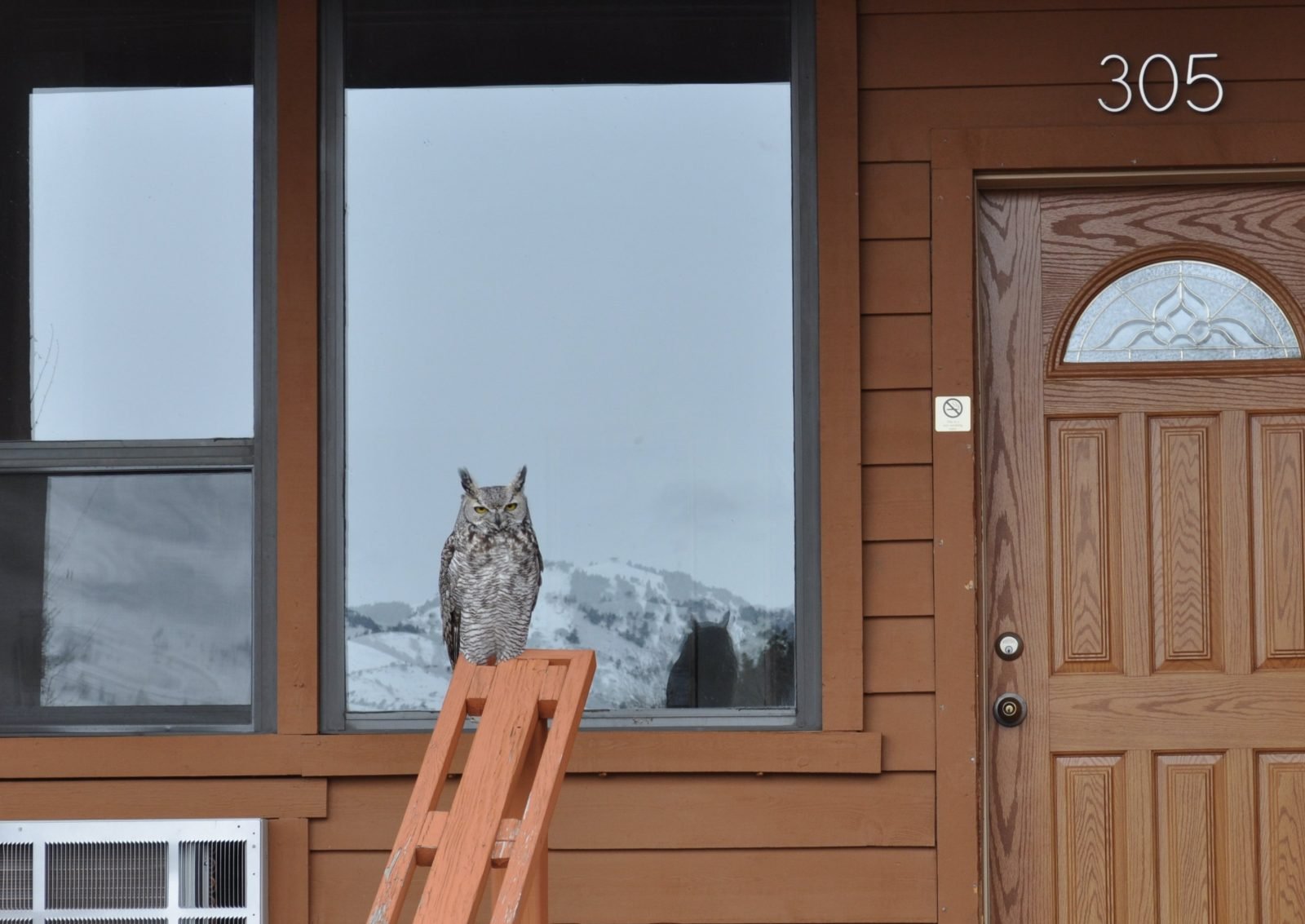 yellowstone village hotel gardiner