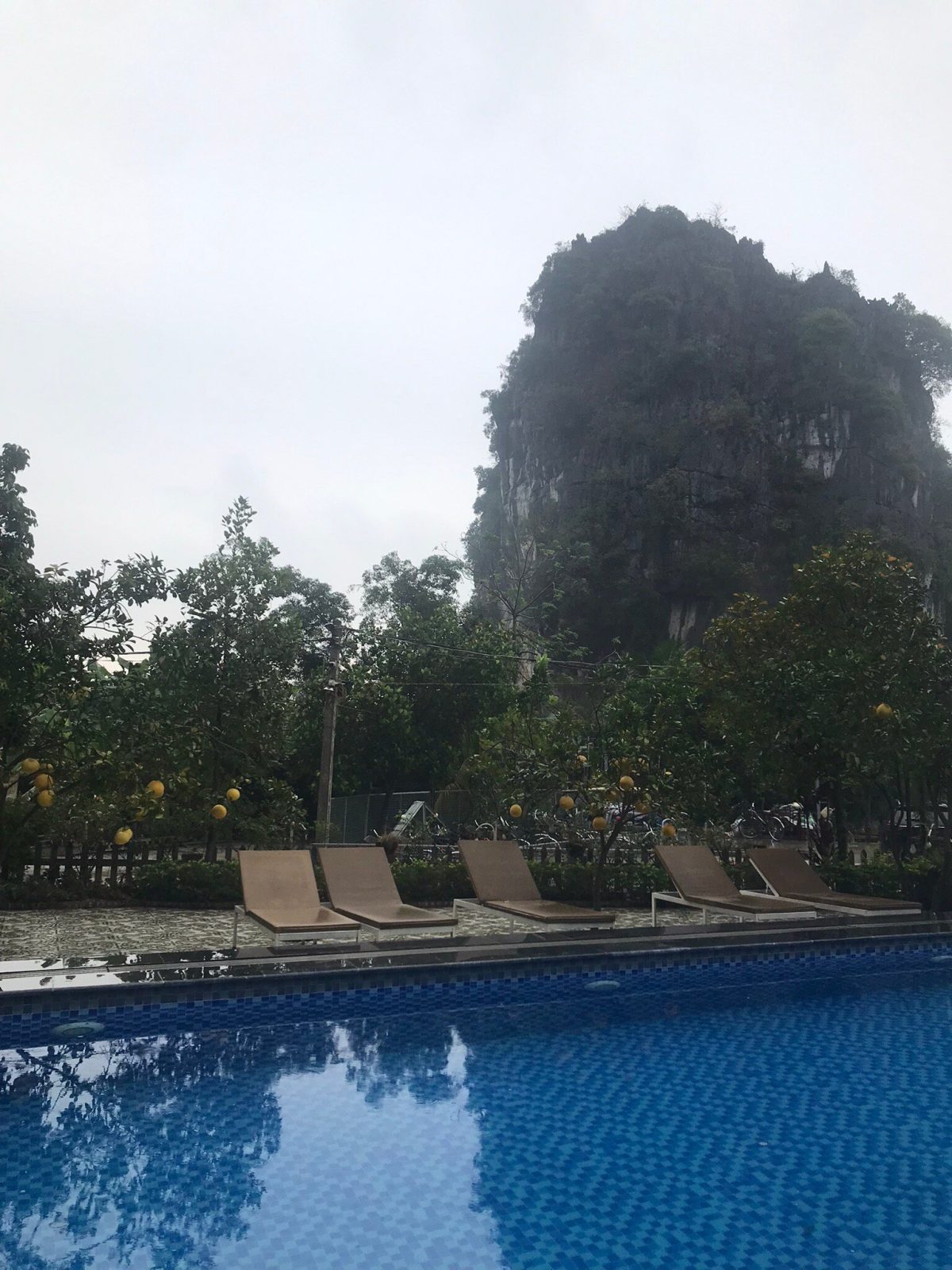 Tam Coc Eco Field Homes