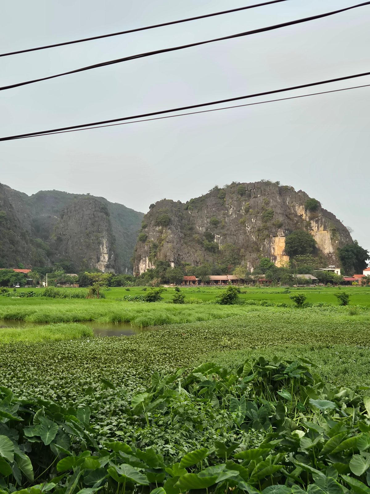 Tam Coc Eco Field Homes