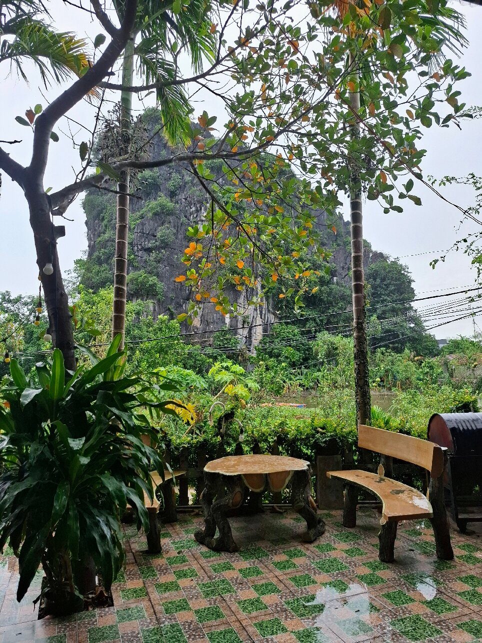 Tam Coc Eco Field Homes