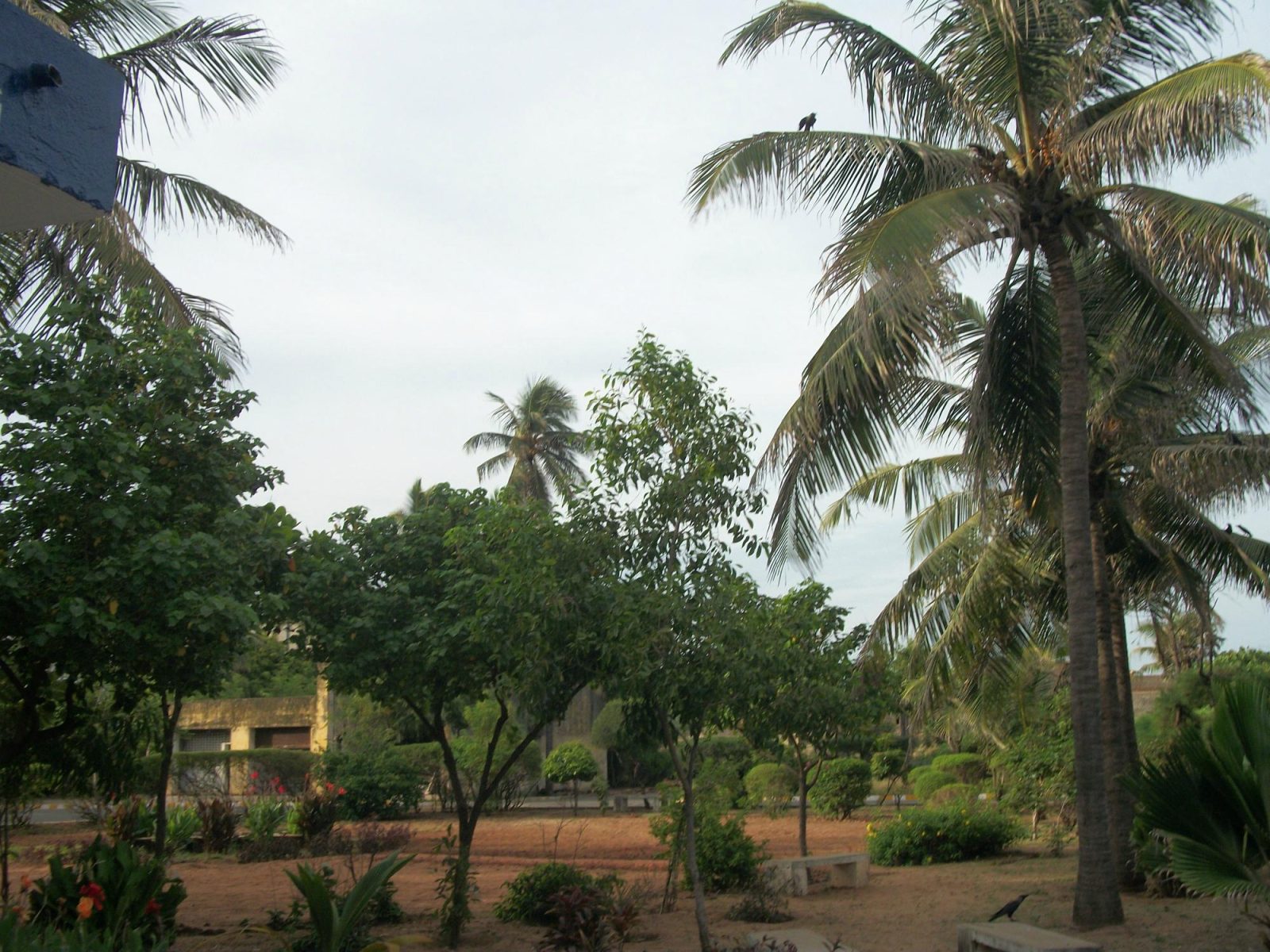 Youth Hostel Pondicherry