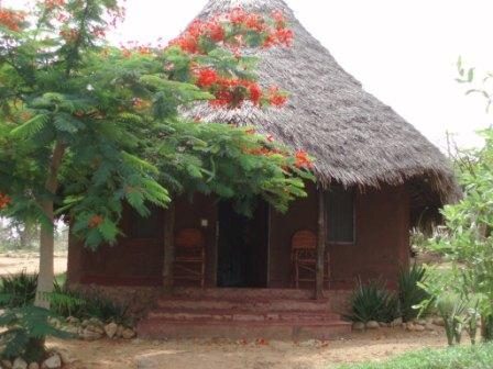 Tsavo Buffalo Camp