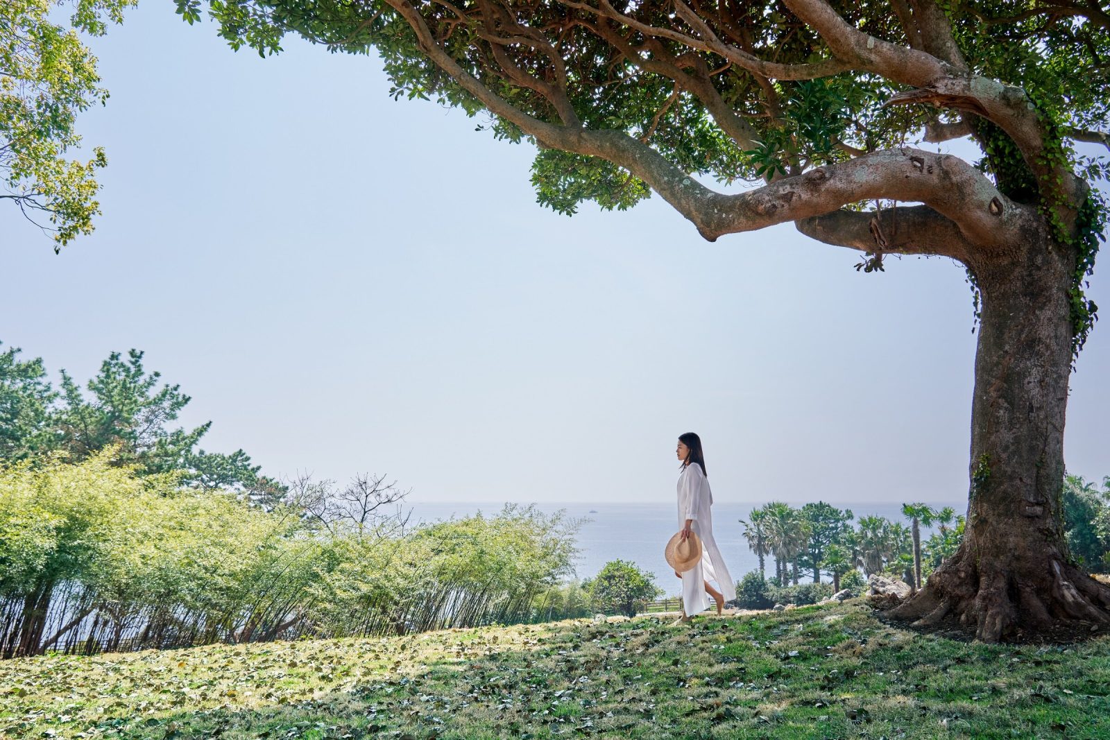 JW Marriott Jeju Resort & Spa