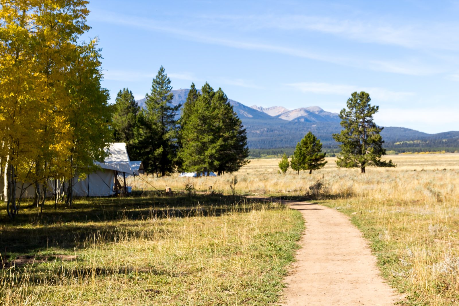 Tammah - Yellowstone