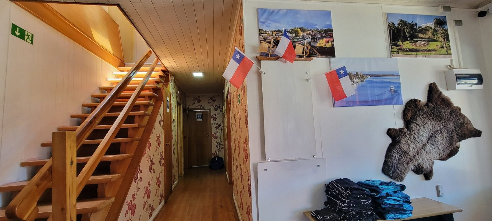 Viva Chile