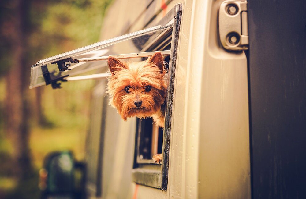 Riverbreeze RV Resort & Campground Near Asheville