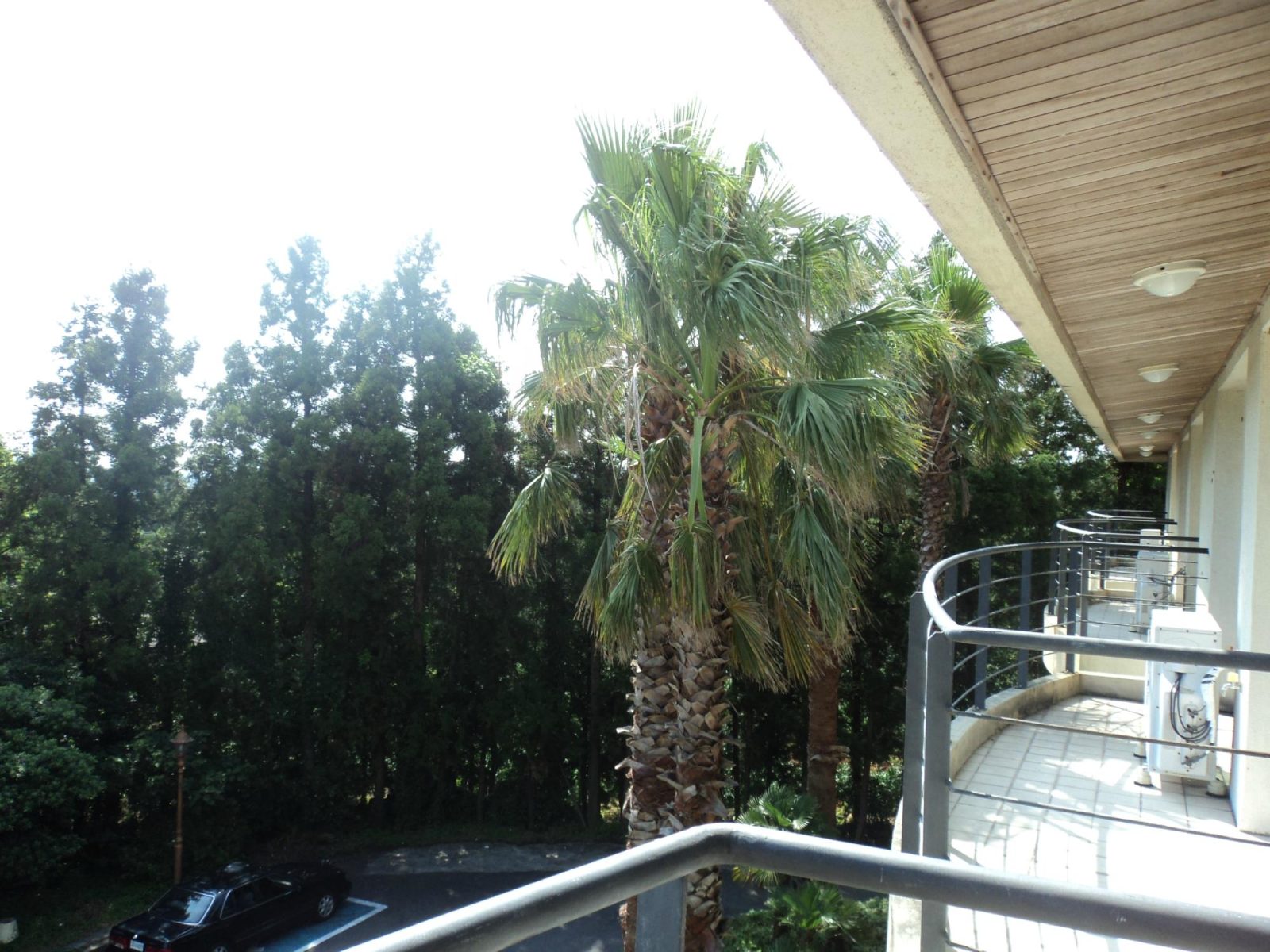 Lake Hills Jeju Resort