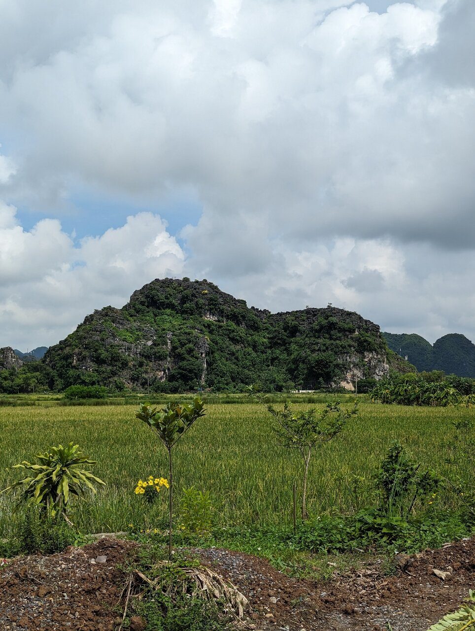 Tam Coc Minh Hung Homestay