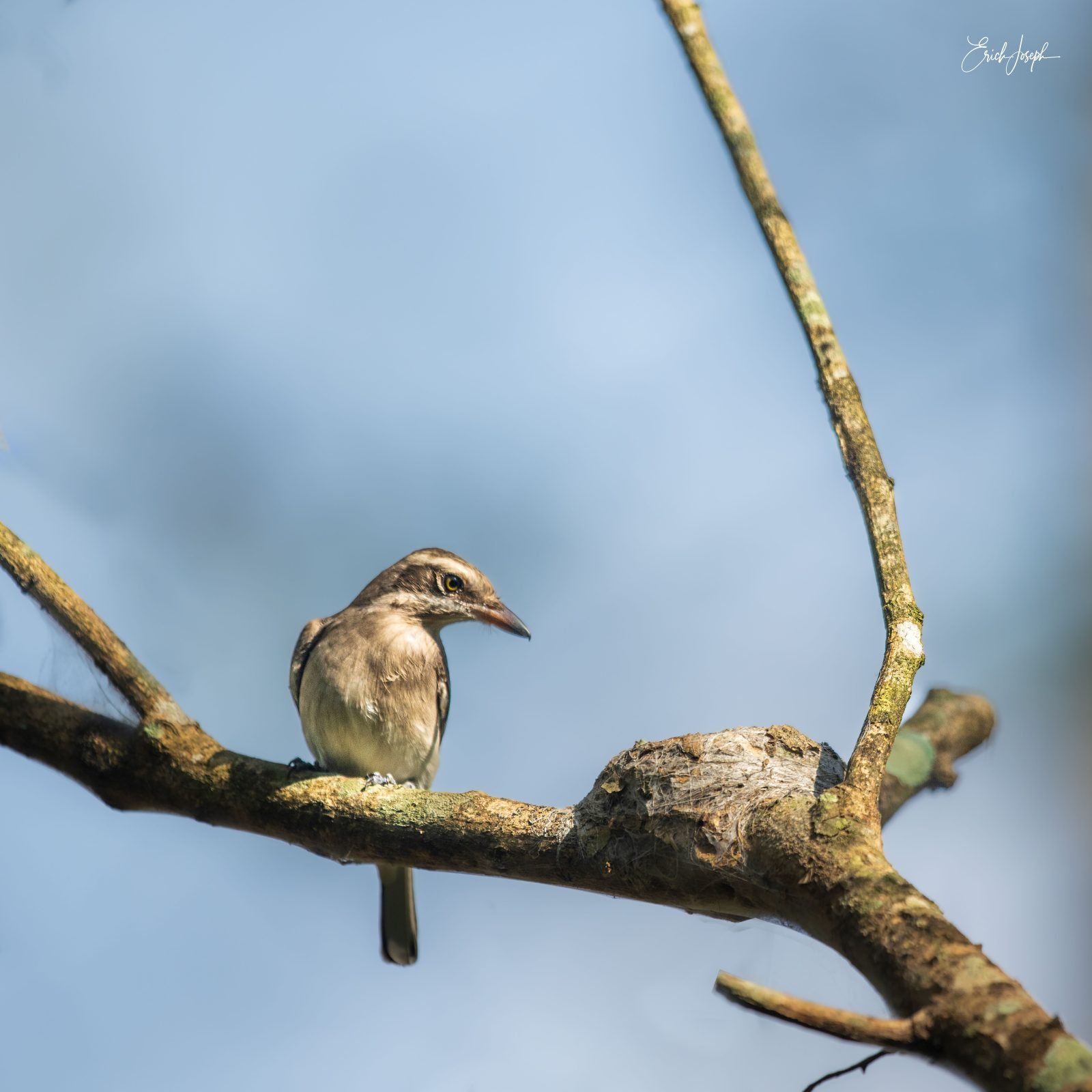 The River House Dambulla by The Serendipity Collection