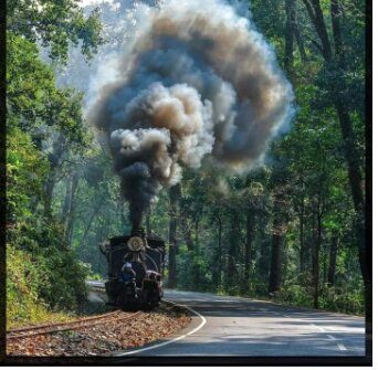 Beverly Hills Home stay Darjeeling
