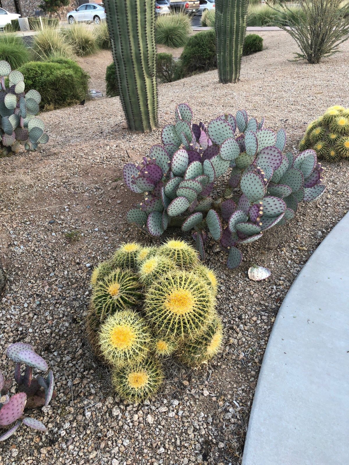 Hampton Inn & Suites Scottsdale At Talking Stick