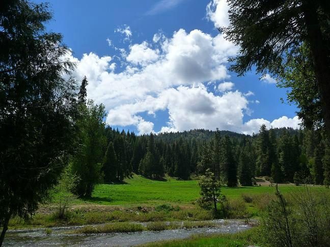 yosemite big creek hotel fish camp
