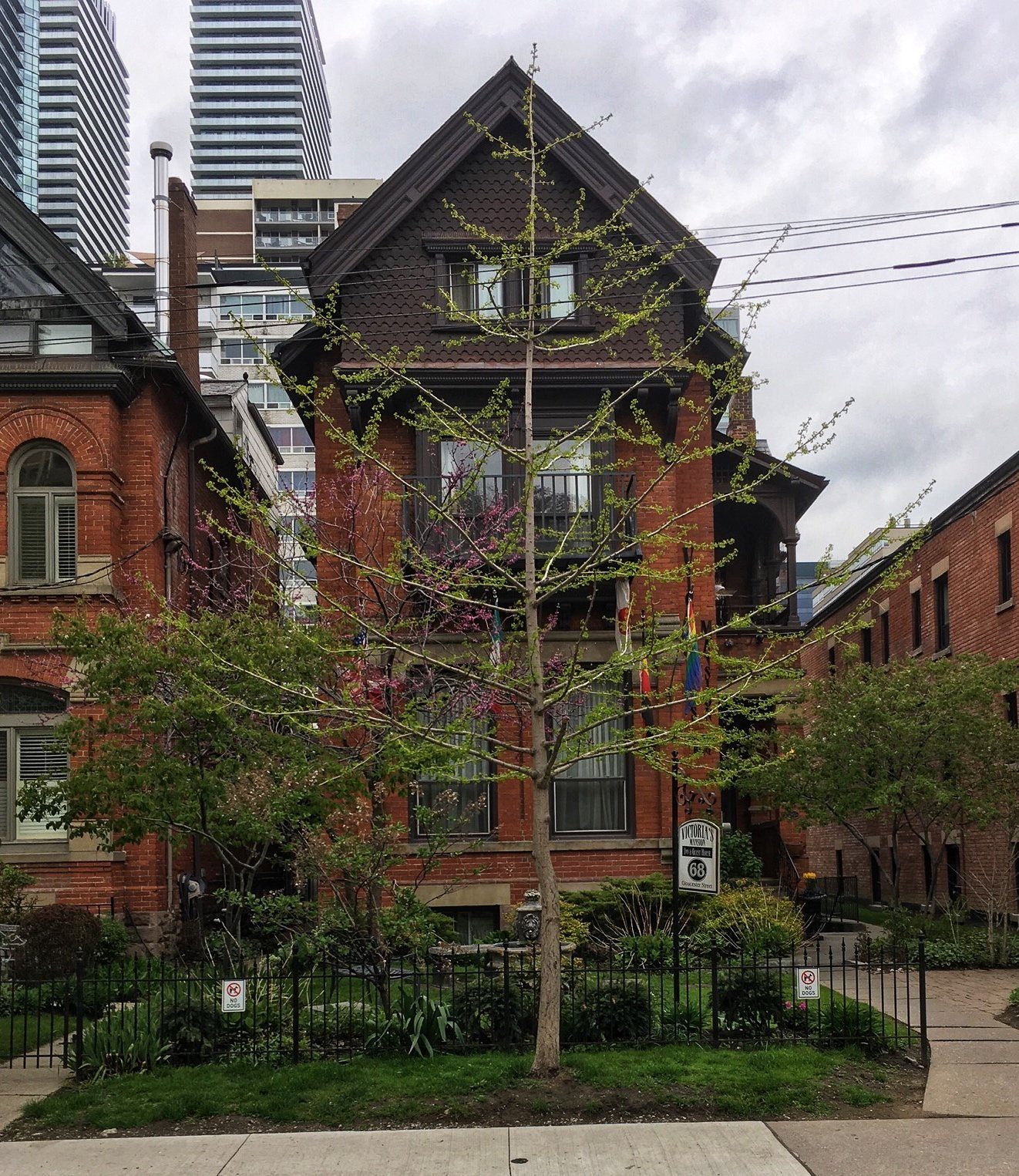 Victoria's Mansion Guest House