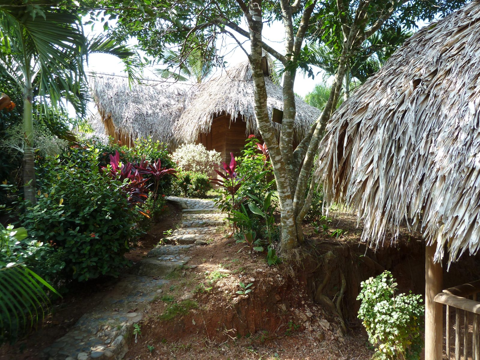 San Rafael - Tourist Inn in Tayrona